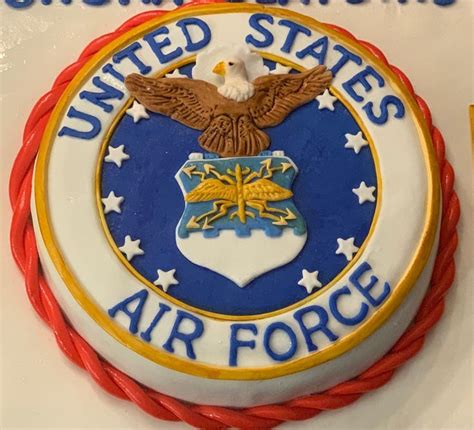 US Airforce Cake | United states air force, Cake, Birthday