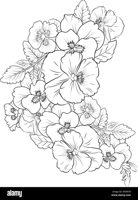 Illustration pansy flower drawing, blossom flower drawing. flower ...