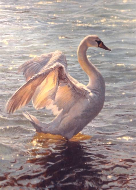 Mathew Hillier - The Swan at 1stDibs | mathew hillier, mathew swan