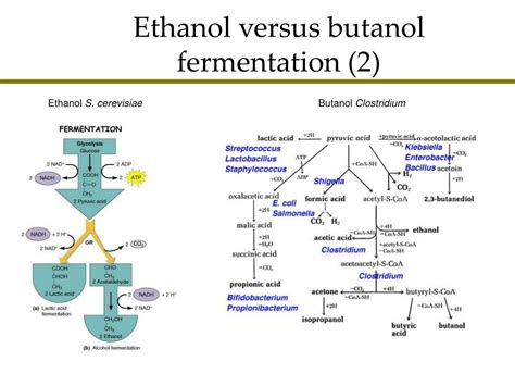 PPT - Bioenergy-butanol PowerPoint Presentation, free download - ID:3046357