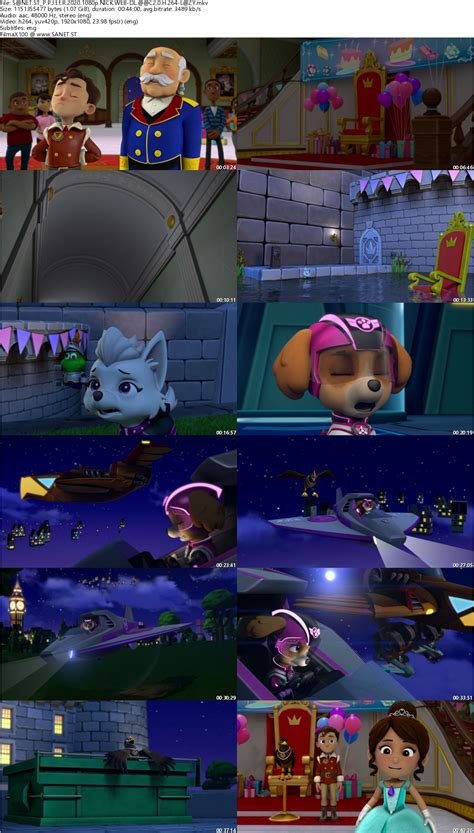 Paw Patrol Jet To The Rescue 2020 1080p NICK WEB-DL AAC2.0 H264-LAZY - SoftArchive