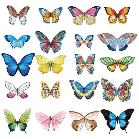 Butterfly Decals