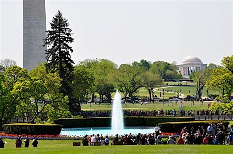 Two DC: The White House Garden and Grounds