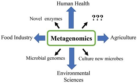 Foods | Free Full-Text | Metagenomics: An Effective Approach for ...