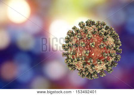 Parainfluenza Virus On Image & Photo (Free Trial) | Bigstock