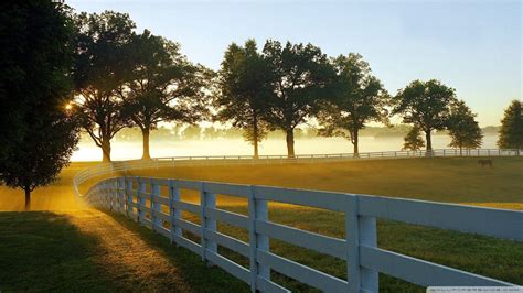 Kentucky Horse Farms Wallpaper