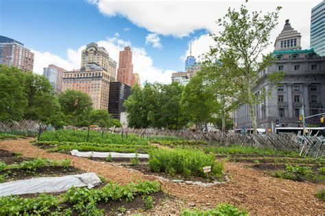 The benefits of urban agriculture may be greater than we thought - Earth.com