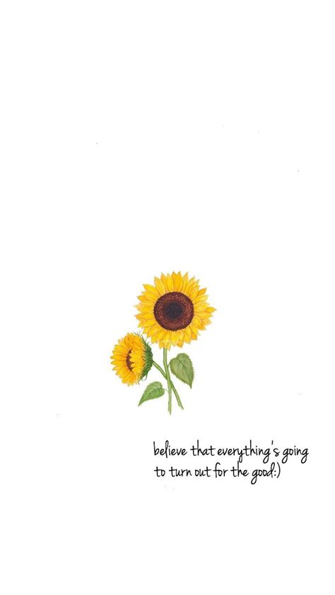 Sunflower Quotes Wallpaper - ShortQuotes.cc