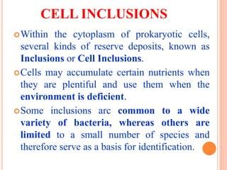 Cell inclusions | PPT