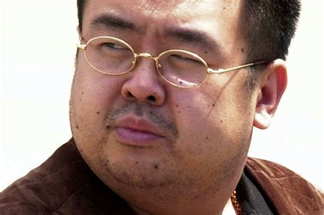 North Korea ambassador says Kim Jong Nam died of 'natural causes' - UPI.com