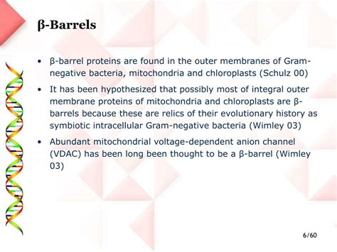 PPT - Beta-Barrel Discrimination PowerPoint Presentation, free download - ID:4520728