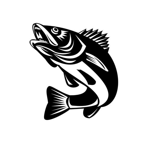 Walleye Fish Jumping Isolated Black and White Retro 1913008 Vector Art at Vecteezy