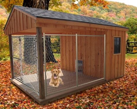 Homeward Bound: The Best Dog House for Your Hound