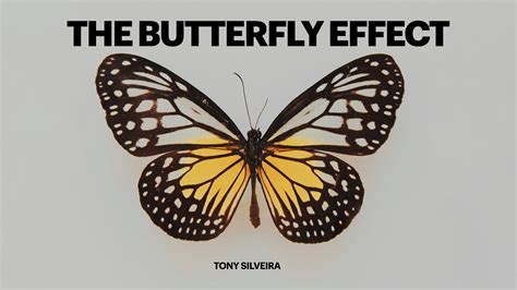 The Butterfly effect - by Tony Silveira