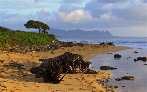 Lihue Coast Photograph by Artistic Photos | Pixels