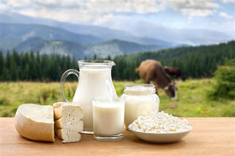 Killington GIves Away Free Milk, Cheese – VT SKI + RIDE