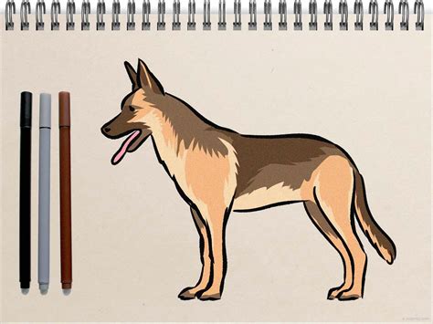 Easy Dog Drawing » How to draw a Dog Step by Step