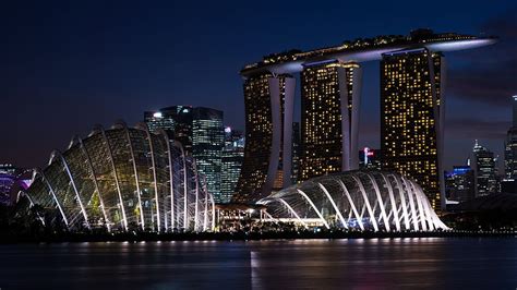 Gardens by the Bay, Marina Gardens, Singapore, , Singapore Flower HD wallpaper | Pxfuel