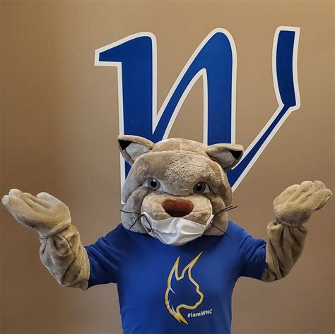 Where’s Willy the Wildcat? Reveal His Location, Win - Western Nevada College