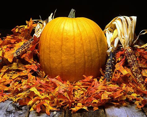 Fall Wallpaper Backgrounds with Pumpkins - WallpaperSafari