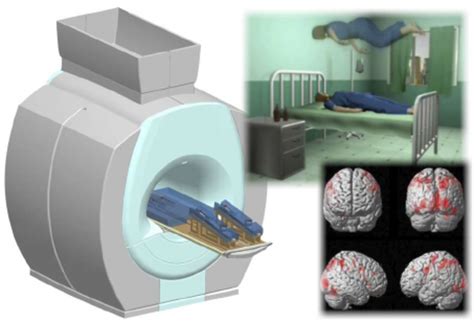 Neuroscience robotics: investigating the neural correlates of ...