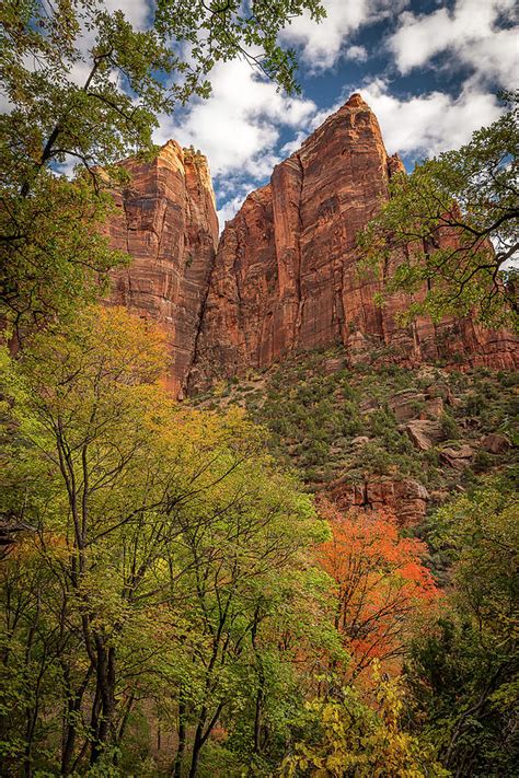 Fall Colors in Zion National Park Photograph by Doug Holck | Fine Art America