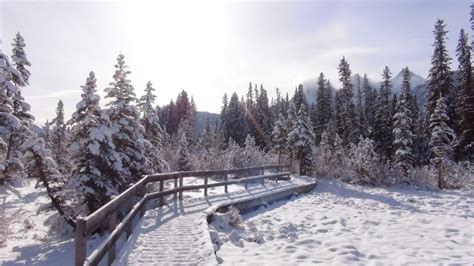 Best Time to Visit Alberta (Climate Chart and Table)