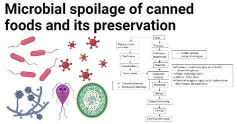 Microbial spoilage of canned foods and its preservation (Canning)