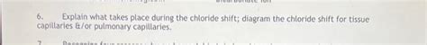 Solved 6. Explain what takes place during the chloride | Chegg.com