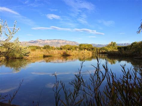 Explore The Paseo Del Bosque Trail In New Mexico