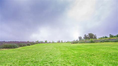 Ali'i Kula Lavender Farm, Kula, Maui, Hawaii, United States – Farm Review | Condé Nast Traveler