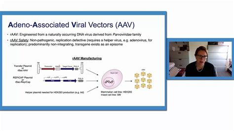 Adeno Associated Viral Vectors - YouTube