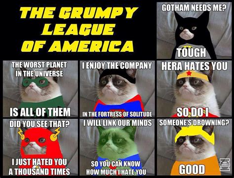 tard the grumpy cat – Really Cute Cats