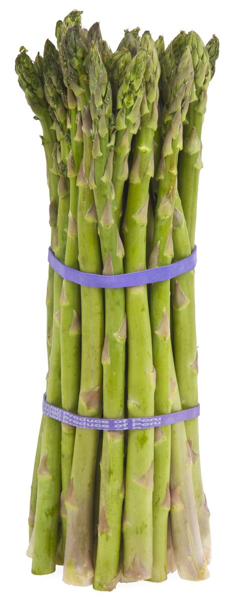 File:Asparagus-Bundle.jpg - Wikimedia Commons
