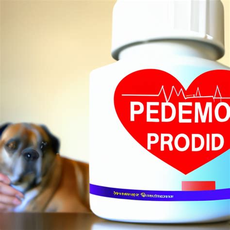 What is Pimobendan Used for in Dogs? - One Top Dog