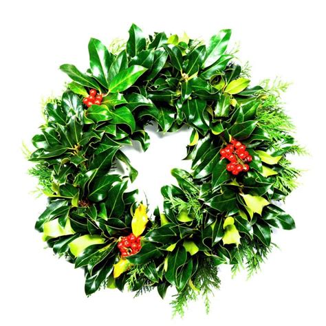 Real Holly Wreath - 10 inch | Pines and Needles