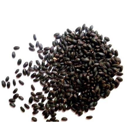 Sweet Basil Seeds - Spice Bazaar