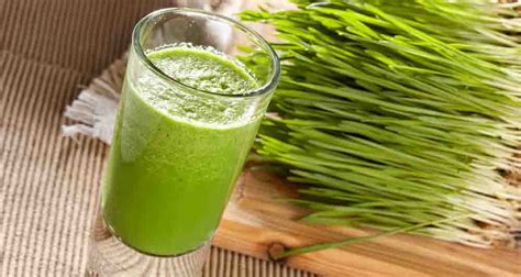 Wheatgrass Juice Recipes For Your Health | Bryont Blog