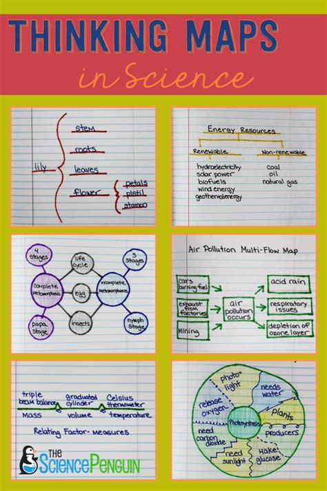 Using Thinking Maps in Science — The Science Penguin