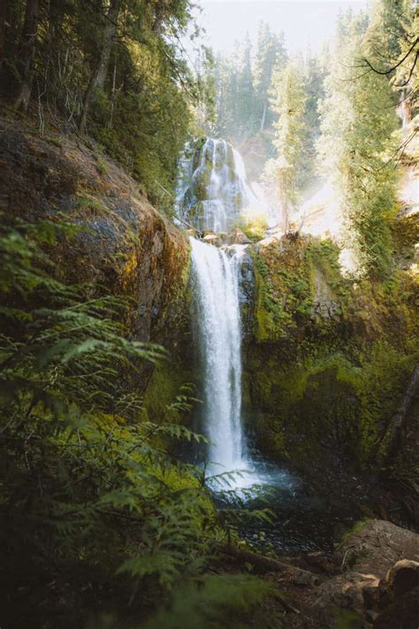 Hike Falls Creek Falls Trail In Washington State - The Mandagies