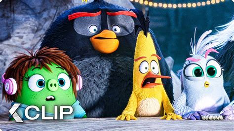 Buy Angry Birds Movie Clip On Blues Plush Online at Low Prices in ... - Clip Art Library