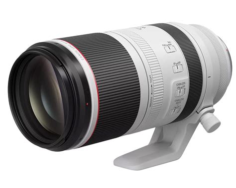 The Canon RF 200-500mm Might Challenge Sony and Nikon