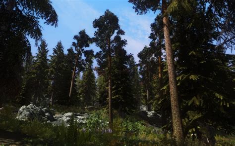 Skyrim Flora Overhaul at Skyrim Nexus - Mods and Community