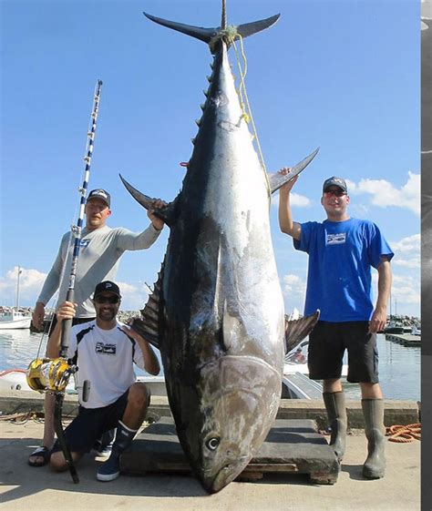 Giant Bluefin Tuna Rule the Northeast | PELAGIC Fishing Gear