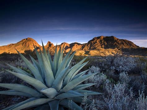 Chisos Mountains - Big Bend Nat'l Park, Texas - Beautiful places. Best places in the world. Shut ...