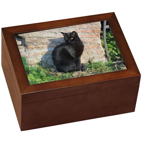 Pet Urn- Medium Wooden Cat Urn with Photo and Shelf.