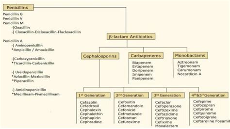 beta lactamases : structure , classification and investigations