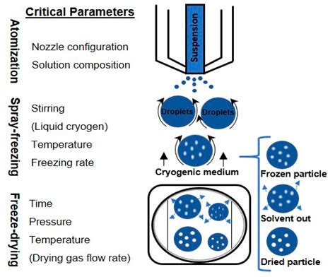 Processes | Free Full-Text | Spray Freeze-Drying as a Solution to Continuous Manufacturing of ...