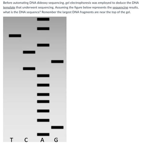 Solved Before automating DNA dideoxy sequencing, gel | Chegg.com