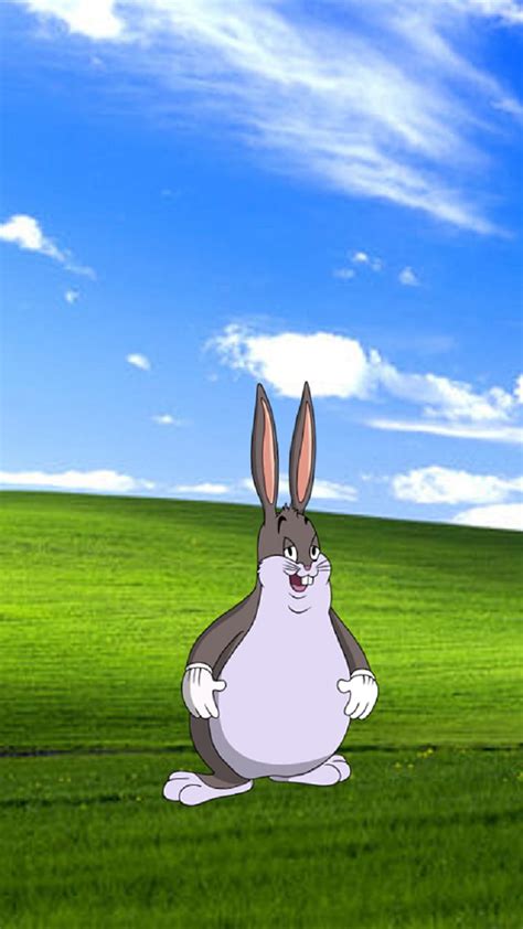 Big Chungus Wallpaper 1920x1080 Big Chungus Download Free 3d Model By | Images and Photos finder